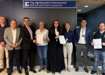 Brasil exporta primeira carga de limão thaiti para União Europeia com certificação oficial de qualidade