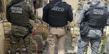 Operação prende suspeito de liderar rede de tráfico de animais silvestres na Bahia