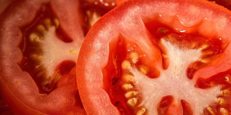 Tomate puxa queda de preços no atacado em setembro, aponta Conab