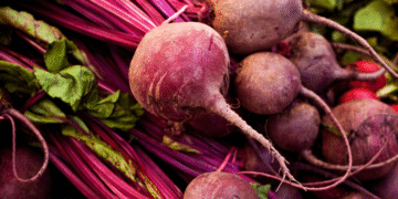 Nicarágua autoriza importação de sementes de beterraba do Brasil