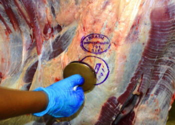 Exportações de carne bovina têm recordes em setembro, diz Abrafrigo