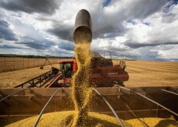 Exportações brasileiras de grãos aceleram na 4ª semana de outubro com projeção recorde para o mês