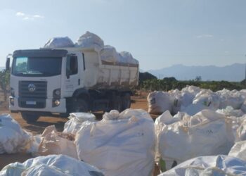 Logística reversa: ação na Bahia recolhe 195 mil embalagens vazias de agrotóxicos em um mês