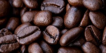 Com maior acesso a crédito e investimento em inovação, o Brasil busca consolidar sua liderança mundial no mercado de café, combinando produtividade e sustentabilidade
