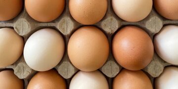 Exportações de ovos crescem 39,7% em setembro e acumulam alta de 174% no ano