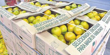 Fruticultura brasileira ganha nova rota aérea cargueira para a Europa via Recife e Bruxelas