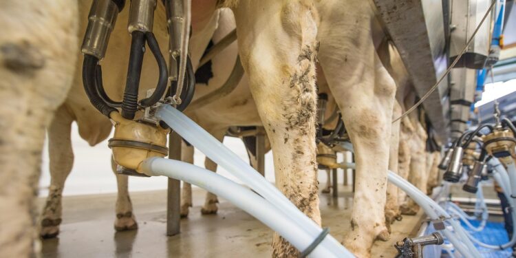 Exportações brasileiras de soja, farelo e milho crescem em 2025 e superam volumes do ano anterior