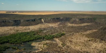 Desmatamento na Amazônia e no Cerrado recua mais de 11% em um ano, aponta Inpe