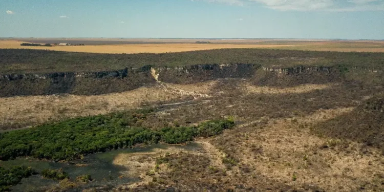 Desmatamento na Amazônia e no Cerrado recua mais de 11% em um ano, aponta Inpe