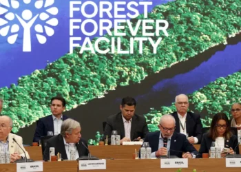 Governo lança fundo global para conservação das florestas tropicais durante a COP30