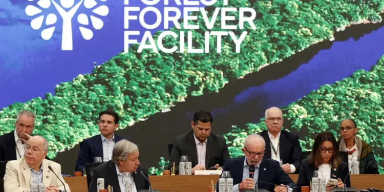 Governo lança fundo global para conservação das florestas tropicais durante a COP30