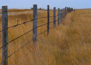Câmara aprova projeto que proíbe desapropriação de terras produtivas