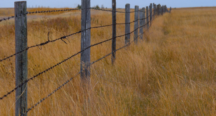 Câmara aprova projeto que proíbe desapropriação de terras produtivas