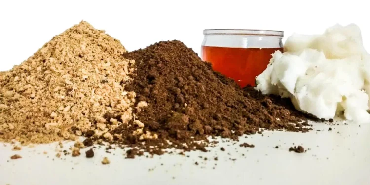 Missão apoiada pelo Mapa fortalece exportações do setor de reciclagem animal na África do Sul e na Turquia