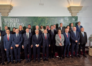 Brasil reforça compromisso com setor olivícola durante celebração do World Olive Day na Espanha