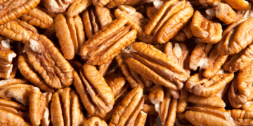 Brasil abre novos mercados para DDG na Malásia e amêndoas de macaúba e noz-pecã na Coreia do Sul