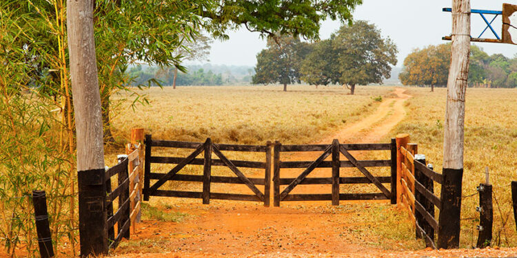 Regularização fundiária e proteção ambiental: Uma conciliação técnica e jurídica necessária