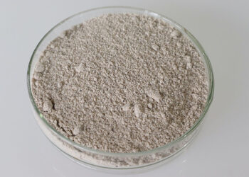 Castanha-do-Brasil se transforma em fonte promissora de proteína vegetal com tecnologia da Embrapa