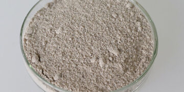 Castanha-do-Brasil se transforma em fonte promissora de proteína vegetal com tecnologia da Embrapa