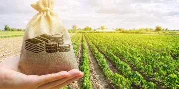 Produtor rural deve se preparar em 2025 para evitar riscos na transição tributária de 2026