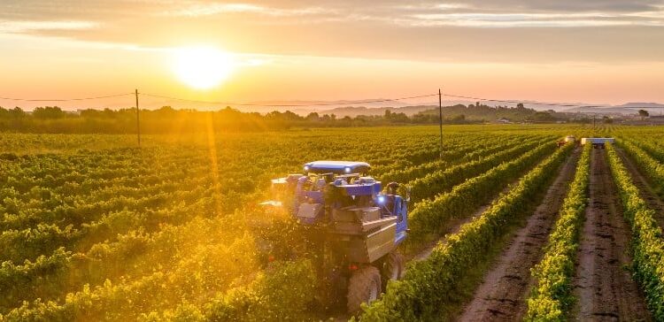 Mapa divulga balanço de 2025 e celebra aplicação de recursos
