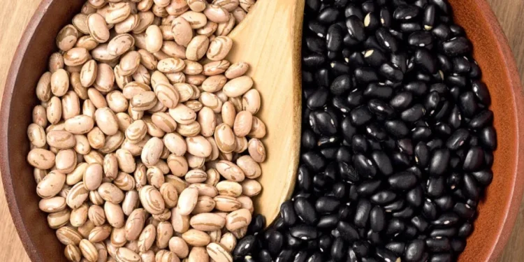 Mercado de feijão segue em queda com aumento da oferta e demanda restrita