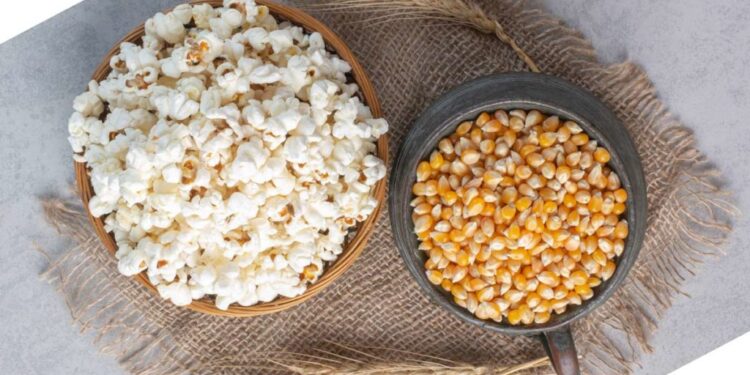 Preços do milho se aproximam de R$ 70 a saca com retração de produtores e clima incerto