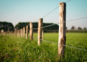 Justiça suspende cobrança de cerca de R$ 1,8 milhão em ITR por erro em áreas ambientais declaradas