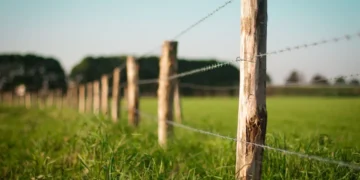 Justiça suspende cobrança de cerca de R$ 1,8 milhão em ITR por erro em áreas ambientais declaradas