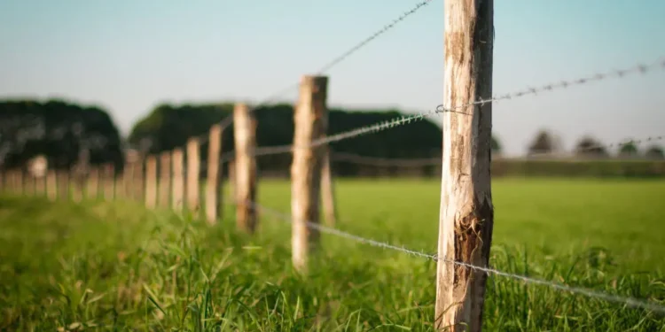 Justiça suspende cobrança de cerca de R$ 1,8 milhão em ITR por erro em áreas ambientais declaradas