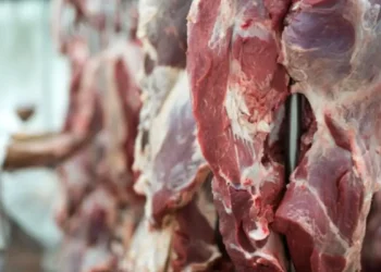 Acordo Mercosul–União Europeia cria novas cotas para proteínas animais