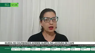 Queda de chumbinhos acende alerta na lavoura de café