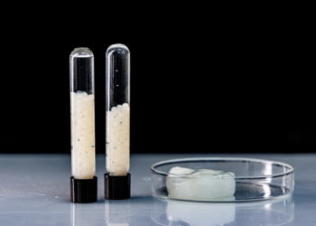 Inovação sustentável transforma resíduo da indústria de papel em solução para economia de água