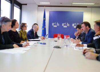 Missão do Mapa na Europa avança em pautas sanitárias e comerciais após assinatura do acordo Mercosul–UE