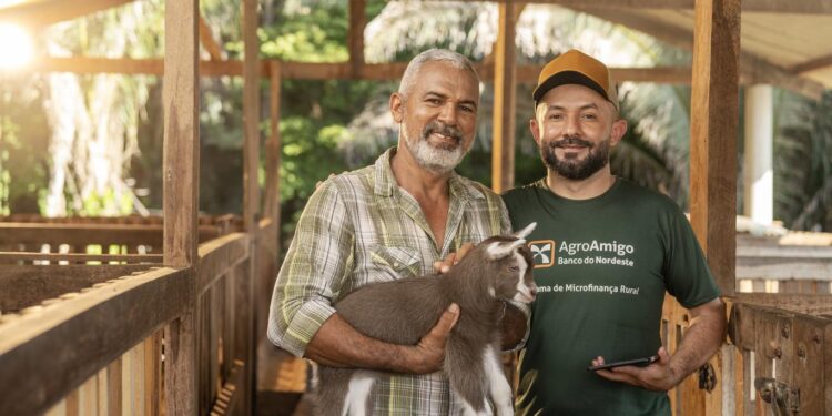 BNB libera R$ 10,7 bilhões via Pronaf em 2025 e amplia apoio à agricultura familiar