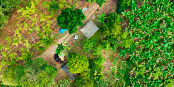 Satélites e inteligência artificial ampliam planejamento agrícola no Vale do Ribeira