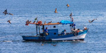 Pesca cancela mais de 76 mil licenças profissionais em todo o país