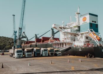 Brasil amplia pauta exportadora e embarca primeira carga de DDG para a China