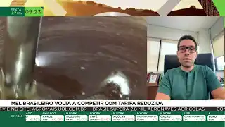 Mel brasileiro volta a competir com tarifa reduzida