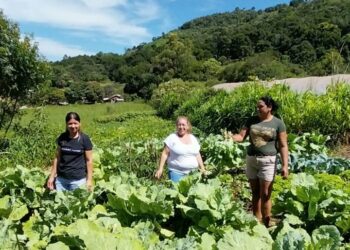 Programa amplia participação feminina na transição agroecológica