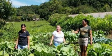 Programa amplia participação feminina na transição agroecológica